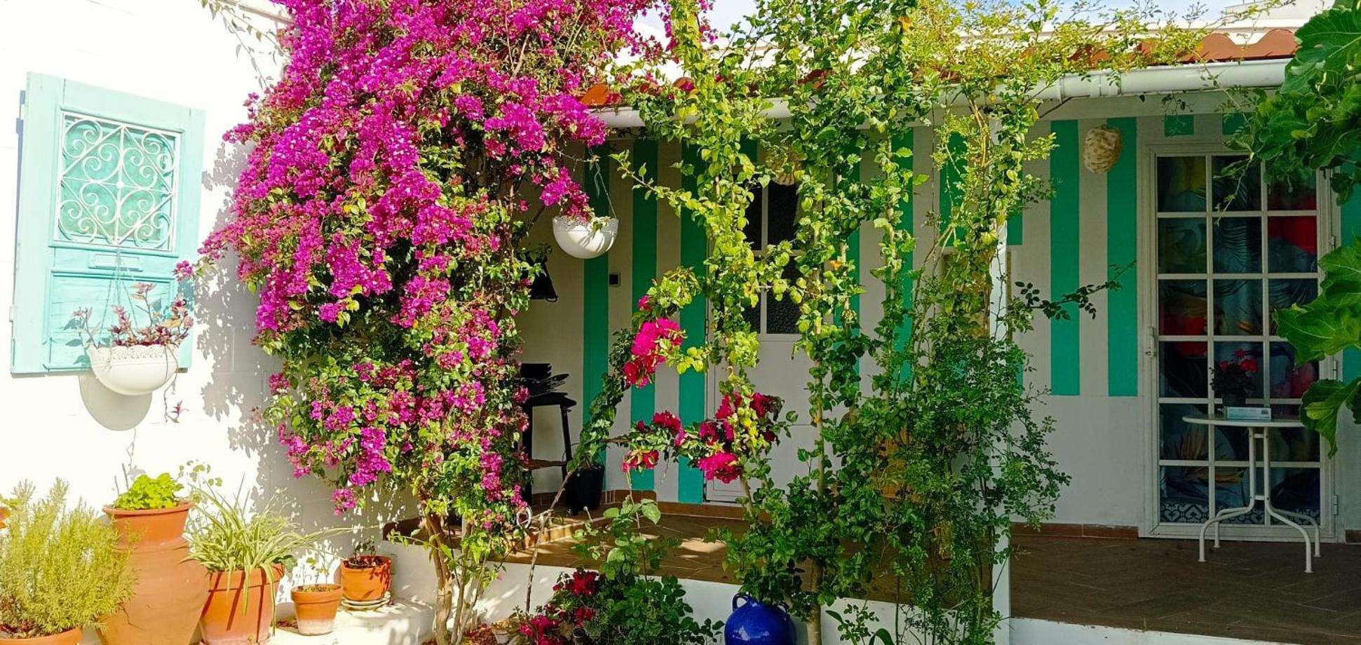 Casa Con Piscina Cerca De Sevilla Carrion de Los Cespedes Εξωτερικό φωτογραφία