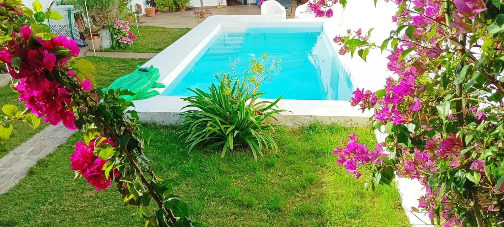 Casa Con Piscina Cerca De Sevilla Carrion de Los Cespedes Εξωτερικό φωτογραφία